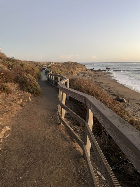 California elephant seal vista point Pch Road Trip, Elephant Seal, Road Trip, Elephant, California, Road