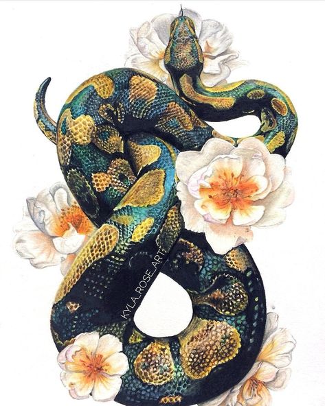 Colour Pencil Drawing, Snake Drawing, Kunst Tattoos, Roses Print, Snake Art, Colour Pencil, Ball Python, 수채화 그림, Snake Tattoo