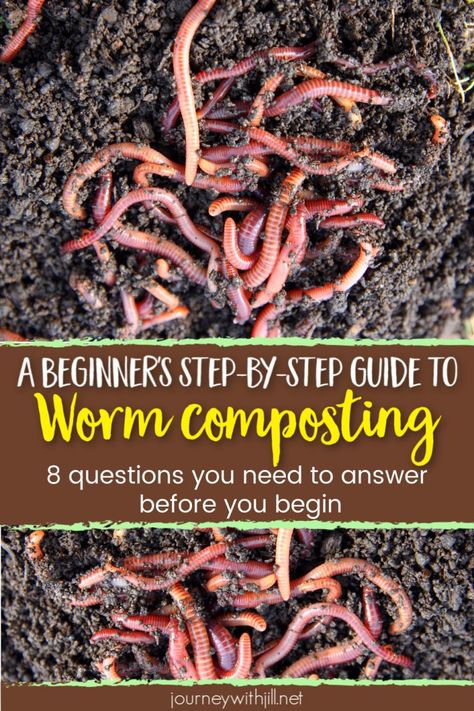 If you want to begin your own vermicomposting, you'll need a DIY guide to answer all of your worm composting questions. From what kind of bin to buy to how to make it, whether you worm compost indoors or outside, this guide will help you begin your own mini worm farm and so you can make your own nutritious worm casting fertilizer for your vegetable garden! #vermicomposting #gardening #beginnersgarden Worm Farm Diy, Composting 101, Worm Bin, Diy Compost, Worm Castings, Red Worms, Worm Composting, Worm Farm, Garden Compost