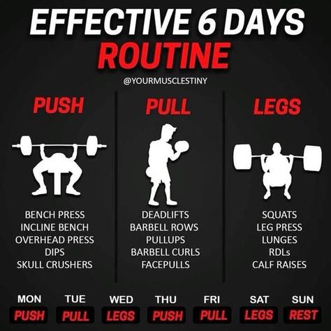 Split Routine, Push Pull Legs Workout, Leg Workout Plan, Pull Workout, Push Pull Workout, Push Pull Legs, Workout Gym Routine, Bodybuilding Workouts Routines, Gym Workout Planner