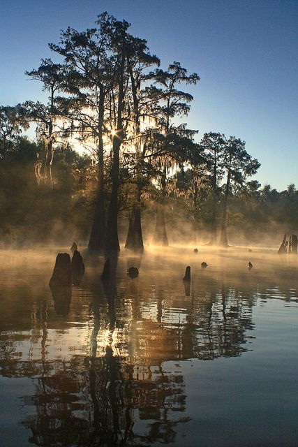 Bayou Benoit Sunrise, .- Bayou Benoit is a gut located just 12.5 miles from Saint Martinville, in St. Martin Parish, in the state of Louisiana,  near Dauterive Landing, LA. Fishermen will find a variety of fish including yellow bass, bluegill, sucker, white bass, crappie, channel catfish, sunfish and yellow perch here. Louisiana Swamp, Louisiana Bayou, Belle Nature, New Orleans Louisiana, Outlander, Beautiful World, Beautiful Landscapes, Wonders Of The World, Louisiana