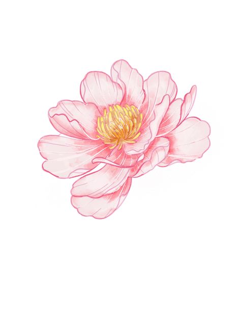 Pink Flowers Aesthetic Drawing, Manga Flowers, Pink Flowers Art, Anime Flower, Illustration Journal, Botanical Flower Art, Flower Drawing Tutorials, Pink Watercolor Flower, Anime Artwork Wallpaper