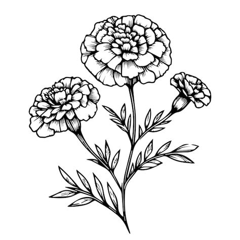 Marigold Flower Stencil, Marigold Stencil Tattoo, October Birth Flower Tattoo Marigold And Cosmos, Marigold Tattoo Black And White, Marigold Sketch, Mum Flowers Tattoo, Marigold Flower Drawing, Marigold Drawing, Flower Tattoo Flash