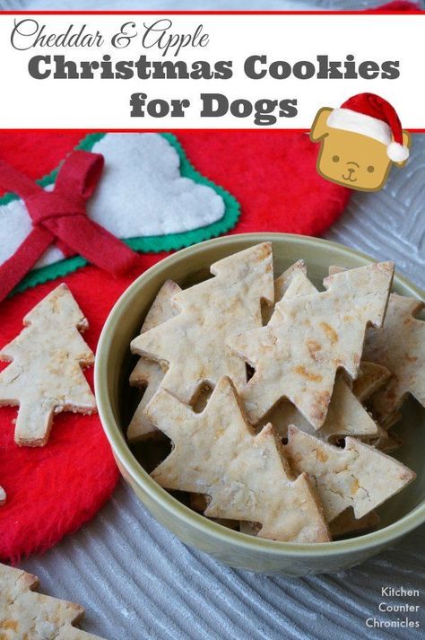 Dog Christmas Cookies, Apple And Cheddar, Dog Cookie Recipes, Homemade Dog Cookies, Pet Treats Recipes, Christmas Dog Treats, Apple Christmas, Dog Biscuit Recipes, Easy Dog Treats