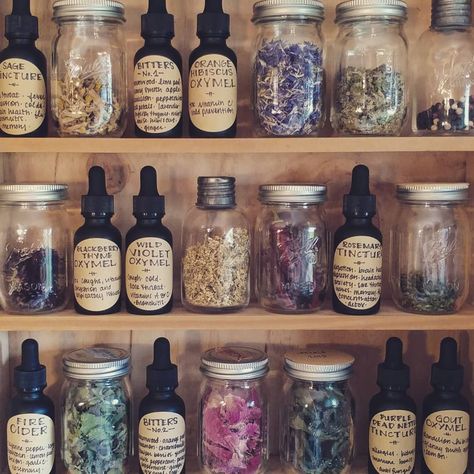 Annelise Thom on Instagram: “When your herb cabinet and your medicine cabinet are the same thing 🌿🌿 bottled up the oxymels today and they turned out so delicious.…” Apothecary Pantry, Herb Cabinet, Herbal Medicine Cabinet, Herbal Shop, Apothecary Decor, Natural Medicine Cabinet, Herb Jar, Herb Shop, Herbal Apothecary