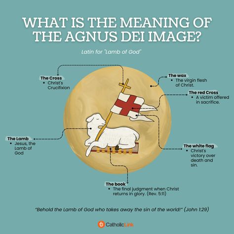 What Is The Meaning Of The Agnus Dei Image? Thomas Aquinas Quotes, Jesus Facts, Kubler Ross, Catholic Beliefs, Novena Prayers, Jesus Mary And Joseph, Agnus Dei, Lamb Of God, Have Mercy