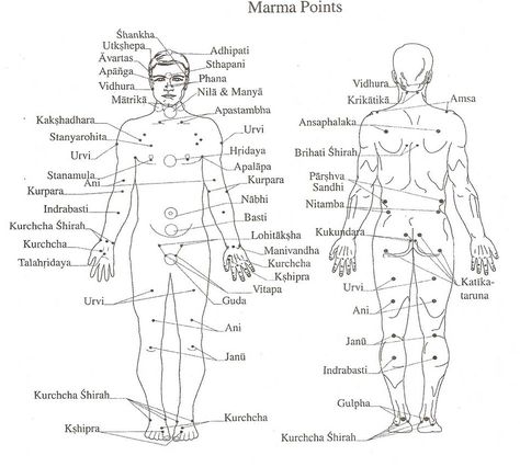 Shiatsu Massage Acupressure, Body Chart, Ayurvedic Massage, Acupressure Therapy, Body Map, Shiatsu Massage, Yoga Alliance, Acupressure Points, Ayurvedic Medicine