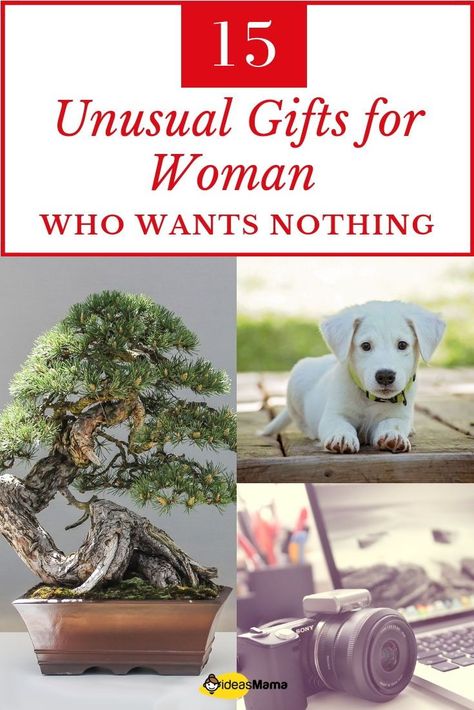 15 unusual gifts for woman who wants nothing that they will cherish. As it is tough reading the mind and picking a gift. Here is a list of awesome gift ideas for woman who have everything and wants nothing.  #GiftsForWomanWhoWantsNothing #GiftsForWoman #GiftIdeas Unusual Gifts For Women, Unusual Christmas Gifts, Graduation Gifts For Him, Christmas Gifts For Wife, Relationship Gifts, Unique Gifts For Women, Christmas Gifts For Him, Romantic Gifts, Unusual Gifts