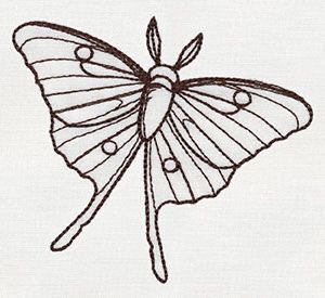 Luna Moth Tattoo, Moth Drawing, Moth Tattoo Design, Cute Moth, Simple Tattoos For Women, Magic Runes, Bug Tattoo, Bug Collection, Moth Art