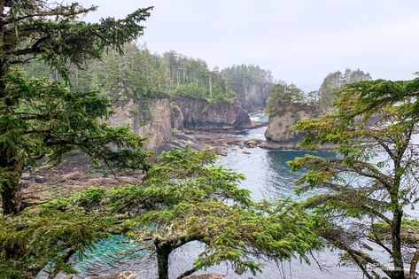 Hiking to Cape Flattery in Neah Bay - American Expeditioners Neah Bay, Crab House, Beautiful Hikes, All Over The World, Beautiful Views, Cape, Hiking, Water, Travel