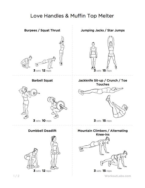 Love Handles & Muffin Top Melter Printable Gym Workout for Women Workout Labs, Muffin Top Exercises, Workout Man, Ab Workout Challenge, Gym Plan, Gym Goals, Reps And Sets, Love Handle Workout, Ab Workout Men