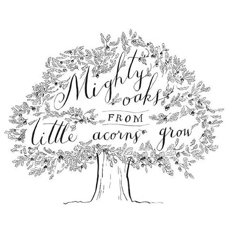 "Might oaks from little acorns grow." -14th century proverb Growing Quotes, Tree Quotes, Mighty Oaks, Acorn And Oak, Quotes Beautiful, Arbour Day, Growing Tree, Oak Tree, Beautiful Watches