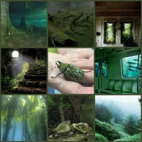 Forest weirdcore moodboard! #moodboard #moodboardaesthetic #forestweirdcore #forest #beetle #green #water Weirdcore Moodboard, Forest Moodboard, Oxenfree, Oc Inspo, Life Series, Green Water, Oc Ideas, Mood Board Design, Colour Palettes