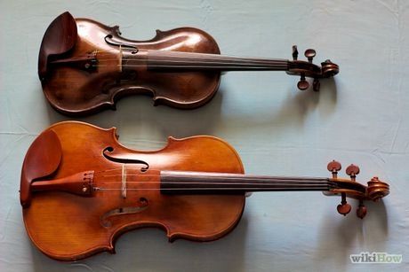 Violin Tips, Viola Instrument, Instrument Families, Violin Instrument, Electric Violin, Learn Violin, Violin Lessons, Patron Vintage, Guitar Teacher