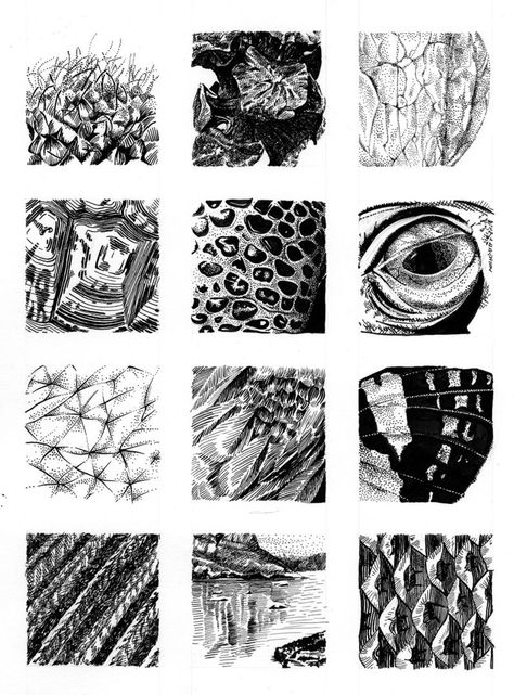 Natural Textures in Pen and Ink - Kelly Finan Ink Drawing Techniques, Black And White Drawings, Drawing Eyes, Texture Drawing, Art Worksheets, Principles Of Art, Drawing Exercises, Art Texture, Art Instructions