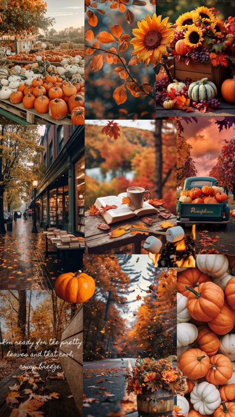 Mood Collage, Autumn Phone Wallpaper, Halloween Traditions, Fall Images, Fall Mood, Iphone Wallpaper Fall, Autumn Magic, Halloween Wallpaper Iphone, Fall Watercolor