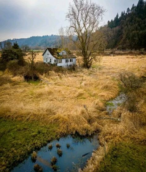 Clatskanie Oregon, Rural Oregon, Wildlife Reserve, Rural Living, Small Lake, Dirt Road, Abandoned Houses, Cat Adoption, Sims 4