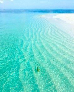 The Maldives Islands #Maldives #travels #paradise #sea #babyshark #travel #livefolk #waves #bucketlist #finditliveit #wonderful #shark #travelling #beauty #beautifulview #summer #indianocean #mytinyatlas #blue #dreamy #paradise #turquoise #Мальдивы #wanderlust #liveauthentic #inlove #honeymoon #photooftheday #clearwater Peaceful Ocean, Maldives Islands, Paradise Sea, Visit Maldives, Maldives Island, Maldives Travel, Clear Blue Water, The Maldives, Sea Blue