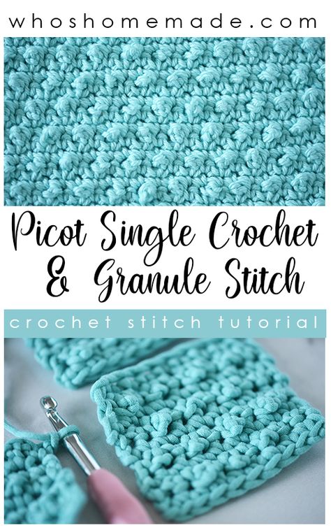 pinterest pin for the picot single crochet stitch by The Turtle Trunk Different Single Crochet Stitches, Bumpy Crochet Stitch, Crochet Picot Stitch, Picot Stitch Crochet, Crocheting Tutorials, Crochet Knowledge, Picot Crochet, Crochet Shawl Patterns, Picot Stitch