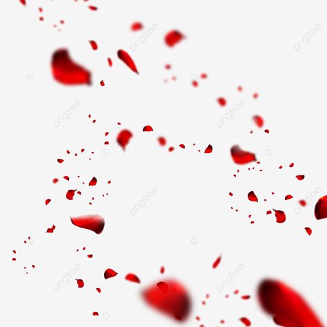 falling,petal,rose flower,romantic,sprinkling,red,beautiful,creativity Flower Falling, Red Roses Background, Rose Petals Falling, Rose Flower Png, Petals Falling, Blossom Background, Falling Petals, Flower Romantic, Drawing Materials