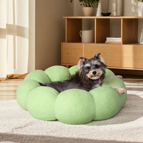 Green Dog Bed, Medium Dog Bed, Flower Cat, Donut Dog Bed, Western Home, Calm Dogs, Medium Dog, Soft Teddy, Western Homes