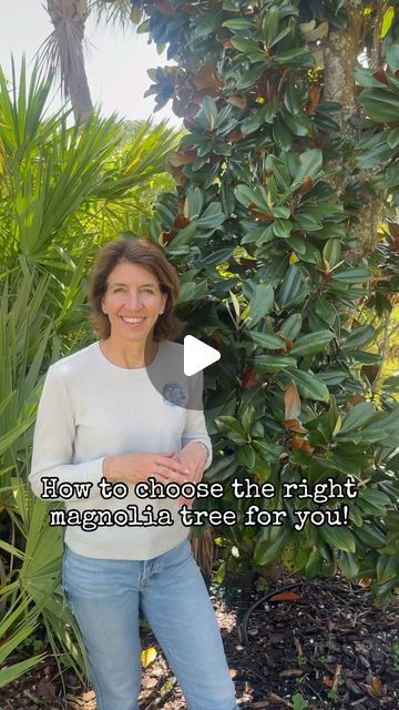 Seeds Of Life | Gift Trees on Instagram: "🌳Finding the perfect magnolia tree for your space just got easier with our expert guide! Consider us your headquarters for all things magnolia! Let’s grow together ✨ • • • • #magnoliafarm #gifttrees #containertree #privacytrees #bloomingtrees" Types Of Magnolia Trees, Landscaping With Magnolia Trees, Magnolia Garden Ideas, Magnolia Tree Landscaping Ideas, Little Gem Magnolia Tree Landscaping, Magnolia Tree Front Yard, Magnolia Hedge, Magnolia Tree Landscaping, Little Gem Magnolia Tree