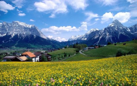 Zugspitze Bavaria In Germany Landscape Spring Mountain Village With Snow Mountains Meadow Flowers Sky Hd Wallpaper 3840×2400 #4K #wallpaper #hdwallpaper #desktop Germany Landscape, France Wallpaper, France Landscape, Meadow Flowers, French Countryside, Pics Art, France Travel, Oh The Places Youll Go, Dream Destinations