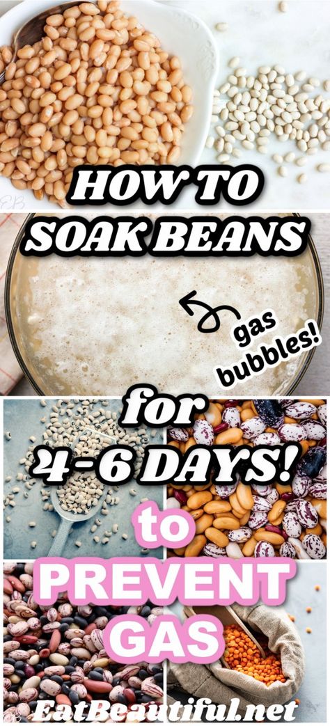 How & Why to Soak Beans for 4-6 days Days To Prevent Gas AND WHICH beans do YOU digest best looks at what actually happens when you eat beans that have been soaked for 4 to 6 days (nothing, no gas!) AND, just as importantly, which beans does YOUR body digest best! | Eat Beautiful | recipes | health articles | DIY | natural health | digestion | how to soak beans | how to soak beans overnight | how to soak beans instant pot | slow cooker | how to prevent gas from beans | how to prevent gas || #gas Cooking Kidney Beans, Soak Beans, Beans Instant Pot, How To Make Beans, Dry Beans Recipe, Eat Beautiful, Instant Pot Slow Cooker, Beautiful Recipes, How To Soak Beans