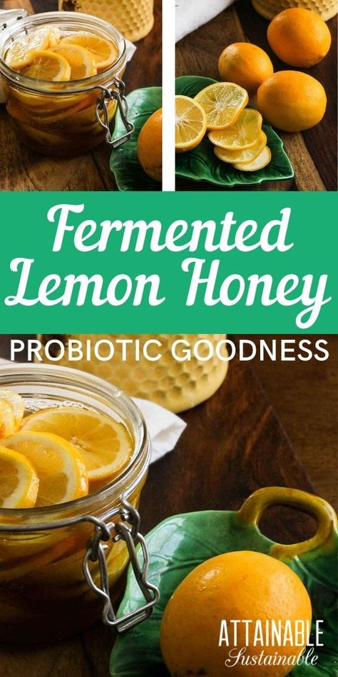 Fermenting Recipes, Echinacea Tea Benefits, Attainable Sustainable, Fermented Vegetables Recipes, Fermented Honey, Lemon Juice Benefits, Infused Honey, Echinacea Tea, Fermented Veggies