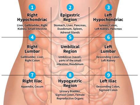 Medical Assistant Student, Basic Anatomy And Physiology, Nurse Study Notes, Nursing Student Tips, Medical Student Study, Nursing School Survival, Medical Facts, Nursing School Tips, Medical School Studying