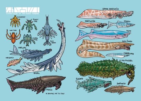 (99+) Common Fauna of Miramar (aka the endpapers for our book, MIRAMAR, a full color graphic novella which is NOW up for pre-order... – @simon-roy no Tumblr C M Kosemen, Alien Design, Alien Creatures, Creature Concept Art, Creature Concept, Zoology, Sci Fi Fantasy, Creature Design, Creature Art