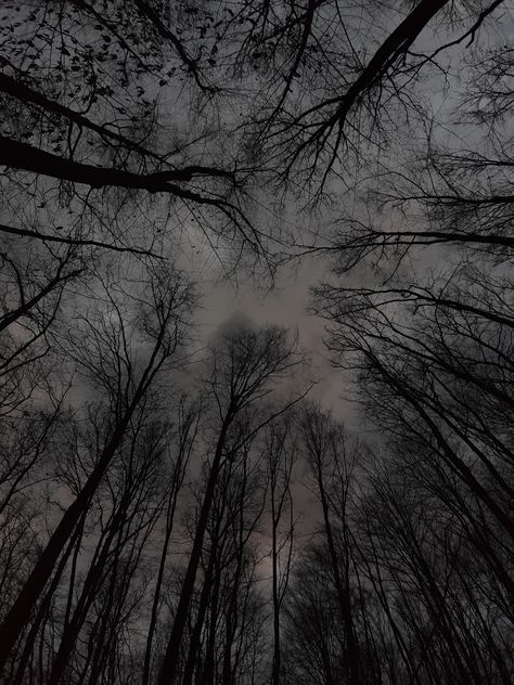 ominous woods, cloudy sky, dark aesthetic, witchy Grey Woods Aesthetic, Witchy Woods Aesthetic, Earth Dark Aesthetic, Dark Hazy Aesthetic, Dark Stormy Aesthetic, Witchy Dark Aesthetic, Dark Leaves Aesthetic, Cloudy Aesthetic Dark, Dark Outdoors Aesthetic