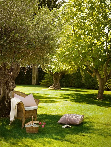 . The Secret Book, The Grass, Green Grass, Dream Garden, Country Life, Farm Life, Backyard Garden, Garden Inspiration, Secret Garden