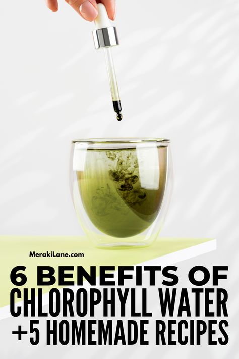 How To Make Chlorophyll Water, How To Take Chlorophyll, Chlorella Vs Chlorophyll, Diy Chlorophyll, Chorphyl Benefits, Chlorophyll Recipes, Liquid Clorophil Benefits, Clorophil Benefits, Chlorophyll Water Recipe