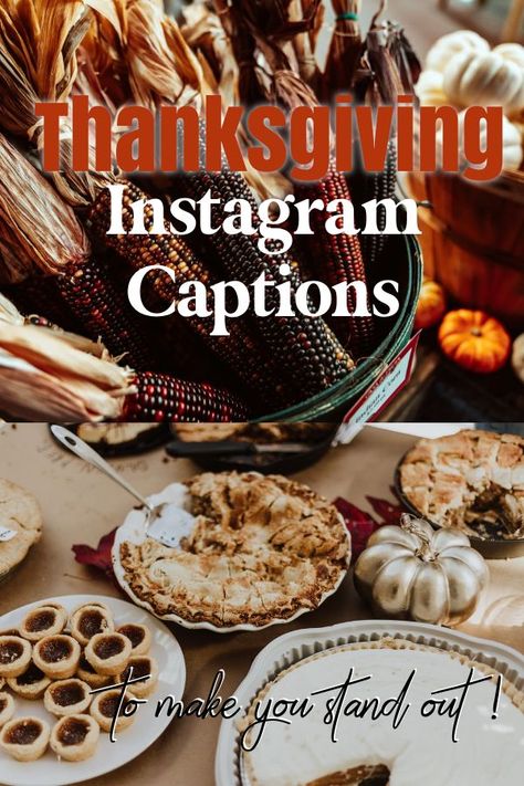 Best Thanksgiving Instagram Captions Thanksgiving Captions For Instagram, Thanksgiving Instagram Captions, Pretty Settings, Thanksgiving Captions, Sides Thanksgiving, Cozy Images, Instagram Captions Family, Thanksgiving Instagram, Thanksgiving Post