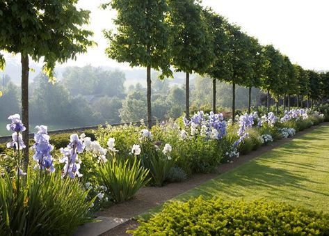 Formal Garden, Longwood Gardens, English Country Gardens, Have Inspiration, Formal Gardens, Garden Designs, Gorgeous Gardens, Garden Cottage, Country Gardening