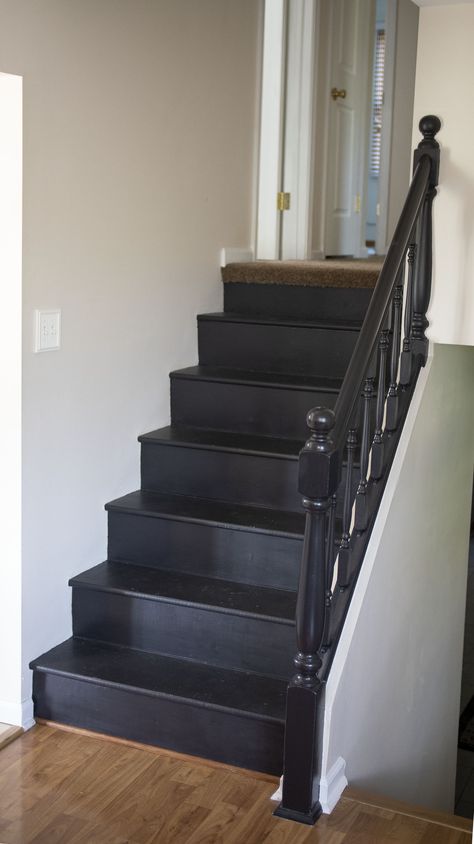 I decided to tackle the seemingly huge task of removing my carpeted stairs and painting them black. And guess what… IT WAS EASY. Black Stairs Painted, Paint Stairs Diy, Black Painted Stairs, Redo Stairs, Indoor Painting, Entry Steps, Carpeted Stairs, Black Staircase, Carpet Treads