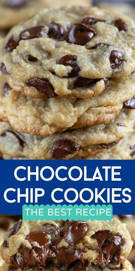 Basic Cookie Recipe, Best Chocolate Chip Cookie Recipe, Gooey Chocolate Chip Cookies, Best Chocolate Chip Cookies Recipe, Basic Cookies, Best Chocolate Chip, Choc Chip Cookies, Chocolate Chip Cookie Recipe, Chocolate Cookie Recipes