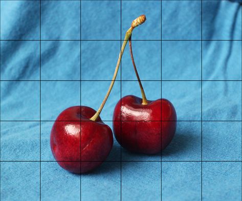 Free Cherry Reference | Lena Danya on Patreon Realism Drawing Reference Objects, Cherry Reference, Drawing Reference Photos Objects, Reference Photos Objects, Lena Danya, Drawing Reference Photos, Cherry Drawing, Drawing Grid, Life Drawing Reference