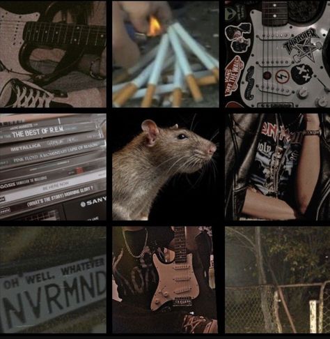 Character Inspiration Board, Oc Aesthetic Ideas, My Character Aesthetic, Oc Mood Board, Oc Aesthetic Board, My Moodboard, Oc Moodboard Aesthetic, Character Board Aesthetic, Roadkill Animals