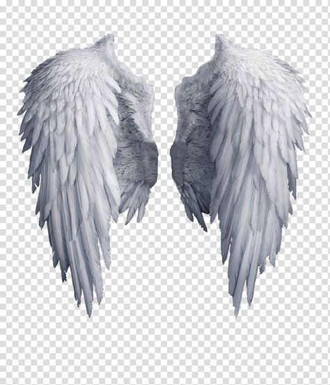 Angel Wings Icon, Angel Wings Graphic, Dark Angel Wings, Angel Wings Png, Fallen Angel Art, Wings Artwork, Angel Wings Drawing, Angel Wings Illustration, Wings Icon