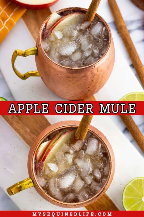 An apple cider mule in a frosty copper mug garnished with apple slices and a cinnamon stick. Fall Martini Recipes Vodka, Vodka Mule Recipe, Cocktail Recipes Pitcher, Fall Martinis Recipes, Apple Cider Drinks Alcohol, Cider Alcohol Drinks, Apple Cider Alcohol, Easy Apple Cider Recipe, Apple Cider Mule