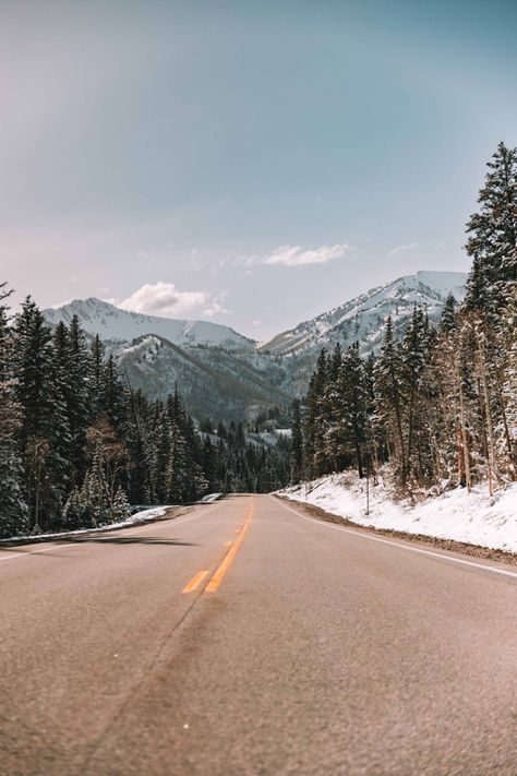 Utah Skiing Aesthetic, Snowy Mountains Aesthetic, Photography Wallpaper Aesthetic, Utah Snow, Utah Winter, Skiing Aesthetic, Trees Photography, Mountain Aesthetic, Mammoth Mountain