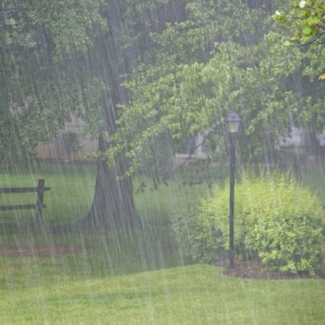 Peaceful Rain, Korean Word, Marguerite Duras, Smell Of Rain, Rainy Day Aesthetic, I Love Rain, Culture Food, Rain Rain, Love Rain