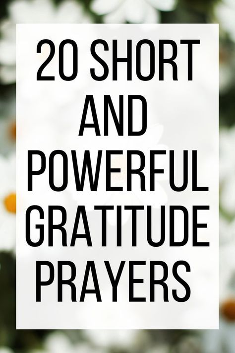 Our thankful gratitude prayers connect our hearts to God and refocus our eyes on the good things He is doing in our lives. 🙏🏼 Use these 20 short and powerful gratitude prayers to guide your prayer life and open up new paths of gratitude in your day. Prayers For Greatfulness, Devotion On Gratitude, Prayers For Gratefulness, Thank You For Prayers, Prayers For Thankfulness Gratitude, Thankful Quotes Life Gratitude Prayer, Thank You Prayer Gratitude, Grateful Prayers To God, Grateful Prayer Thank You God