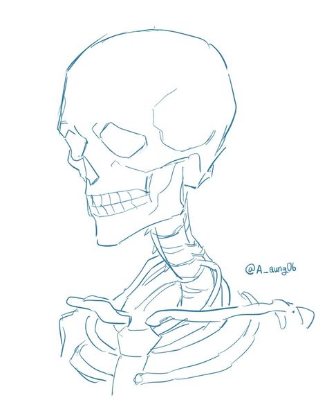 Bone Drawing, Skeleton Drawings, Gcse Art Sketchbook, Skeleton Art, Sketches Tutorial, A Skeleton, Skull Drawing, Anatomy Drawing, Figure Drawing Reference