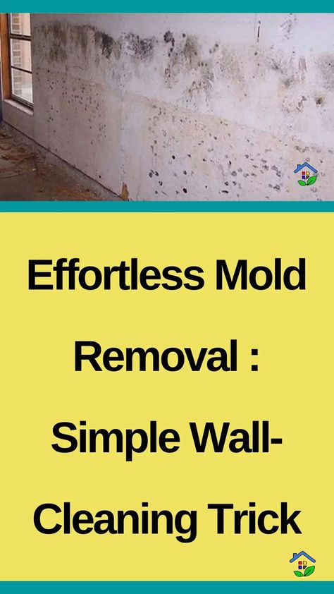 If you’re dealing with mold on your walls, this is your ultimate solution. This easy and effective technique will not only save you time and effort but also ensure a clean and healthy living space. This cleaning technique is a game-changer when it comes to dealing with mold on your walls. This easy and effective […] Homemade Mold Remover, Clean Mold Off Walls, Homemade Mold And Mildew Remover, Natural Mold And Mildew Remover, Mold Removal From Walls, Cleaning Mold Off Walls, Removing Mold From Walls, How To Clean Mold From Walls, Basement Mold Removal