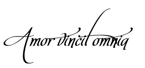 Love Conquers All <3 I want this tattoo on my back with a small heart. Love Conquers All Tattoo, Beloved Tattoo, Type Face, 3 Tattoo, Love Conquers All, Face Tattoo, Rib Tattoo, Cover Up Tattoos, Great Tattoos