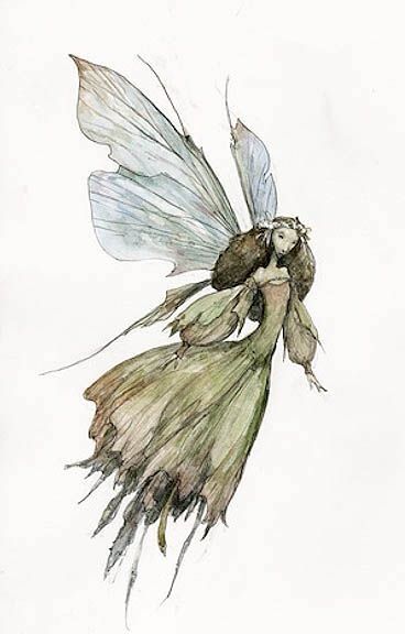 Brian Froud, Watercolor Drawing, Flower Fairy, Home Ideas, Flight, Pencil