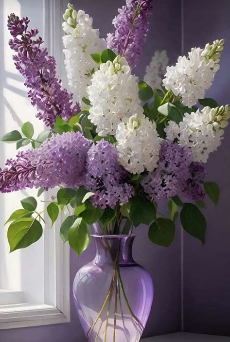 Lilac Plant, Flowers Window, Syringa Vulgaris, Balkan Peninsula, Flower Window, Wallpaper Flowers, Flower Vase Arrangements, Wedding Floral Centerpieces, The Senses